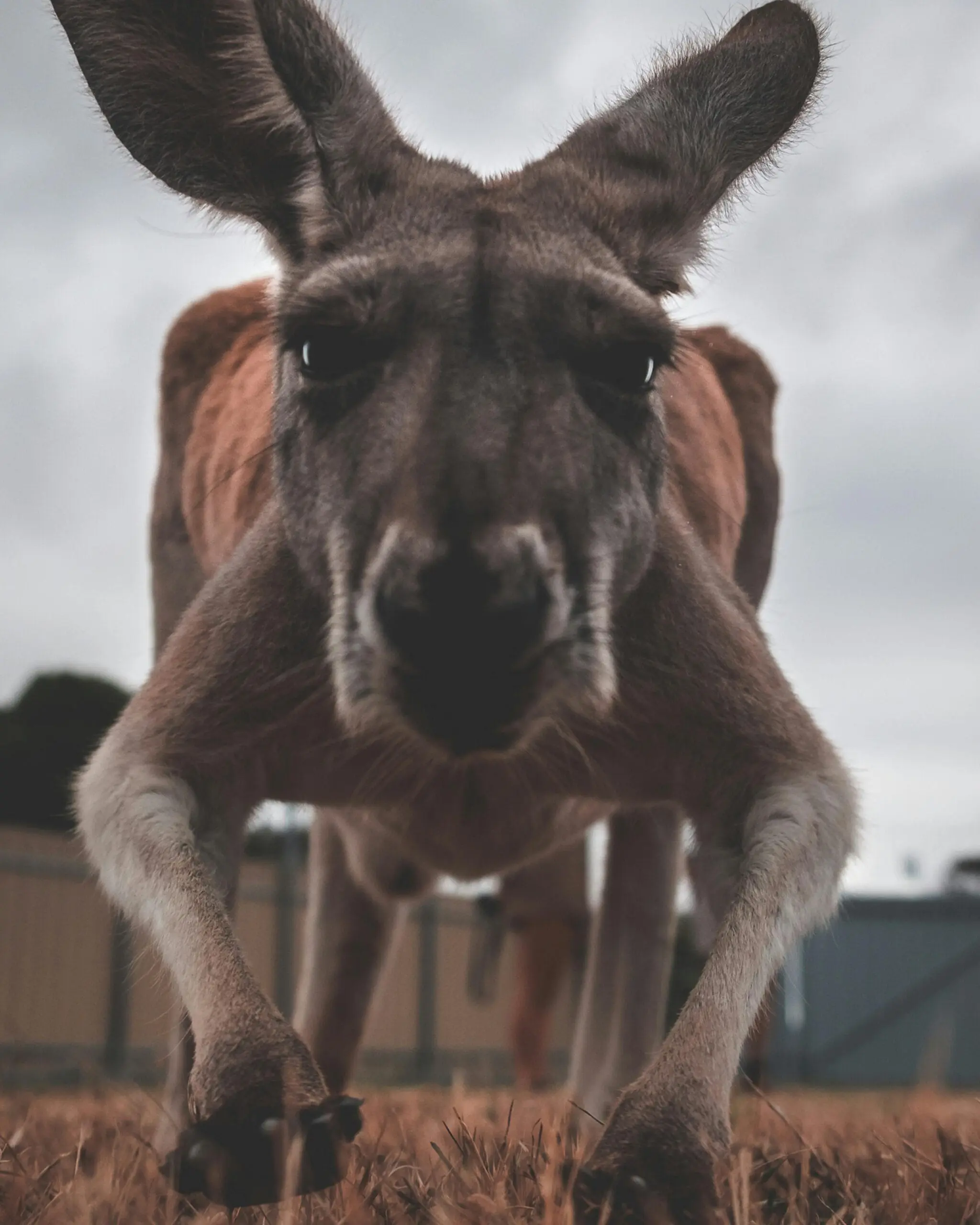 Desitnations 2 Australia
