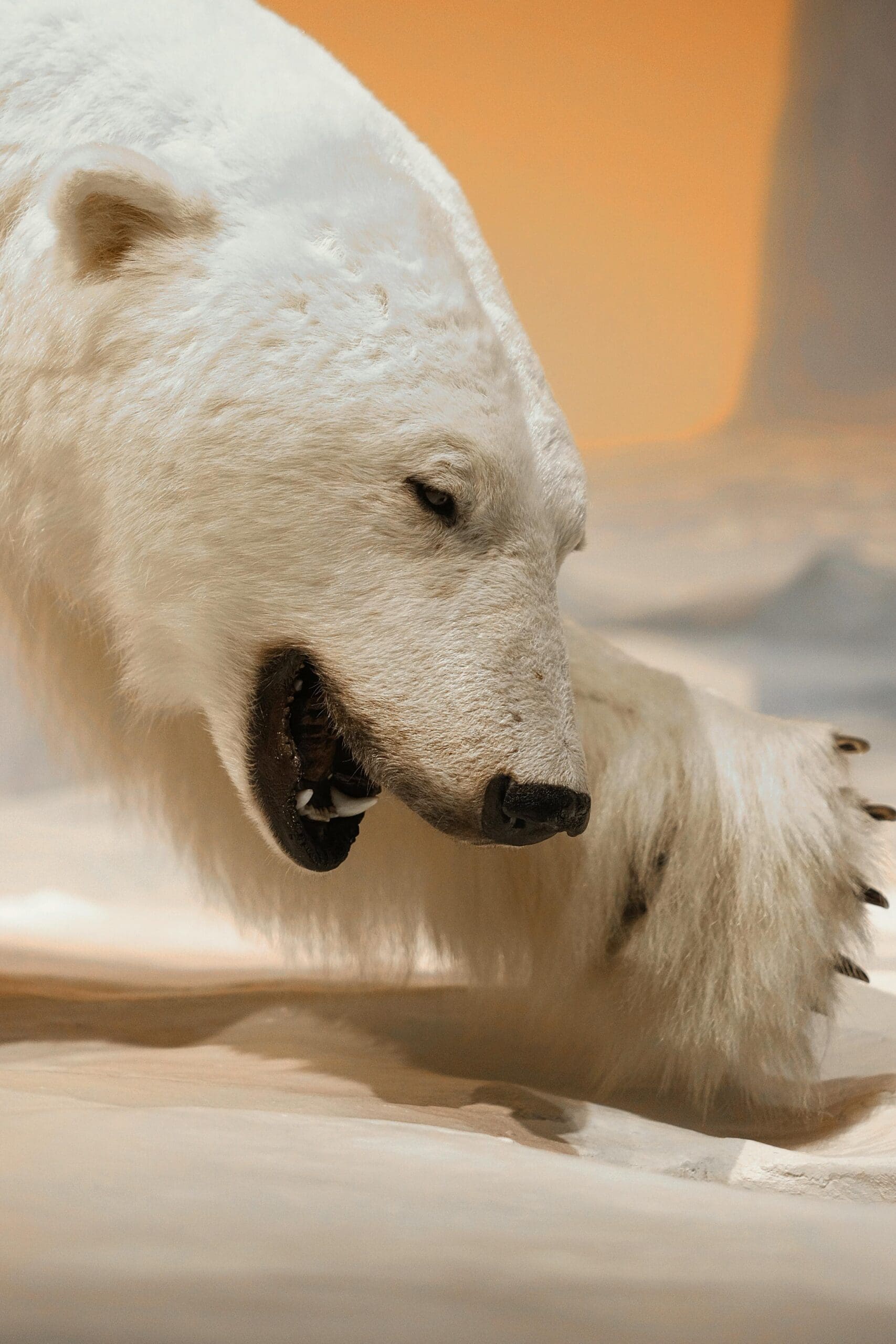 Alaska