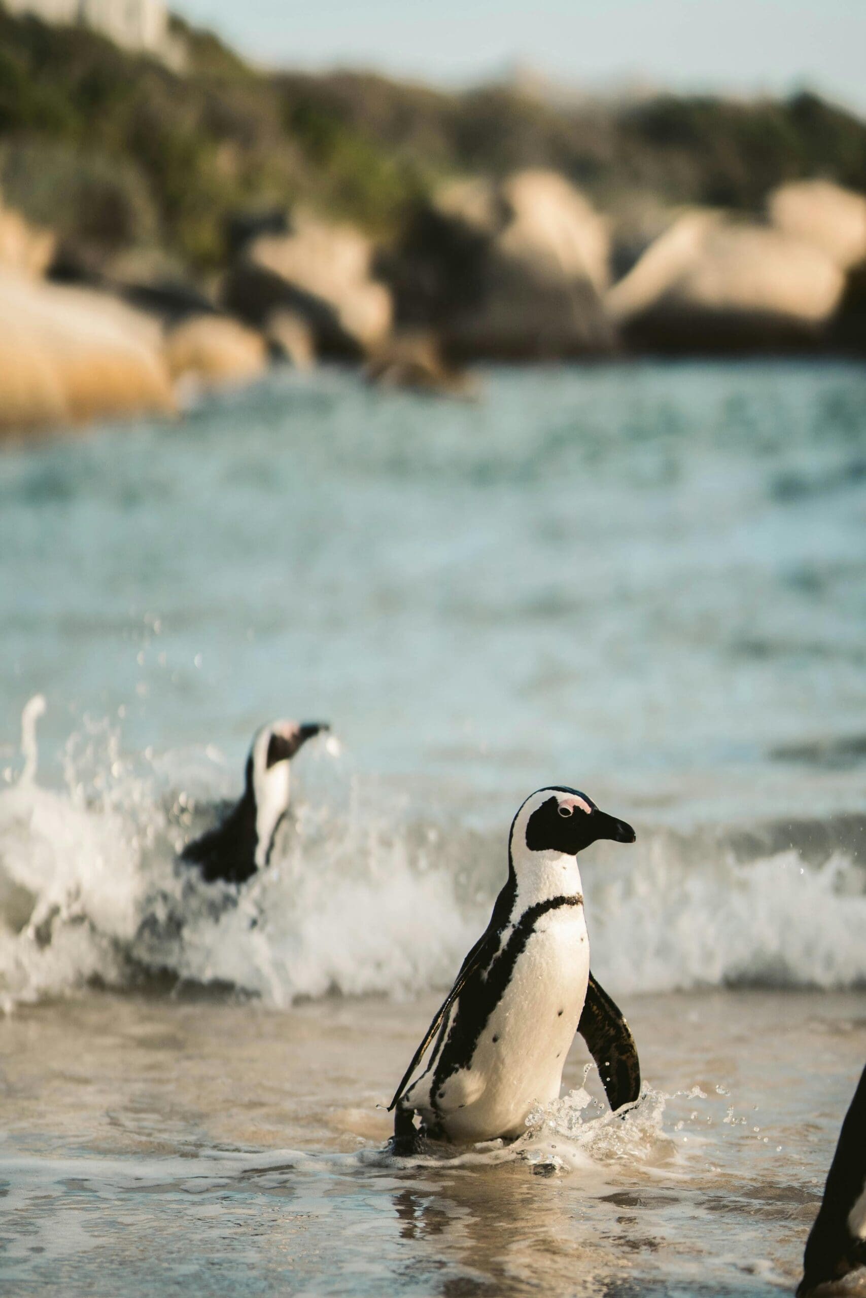 South Africa